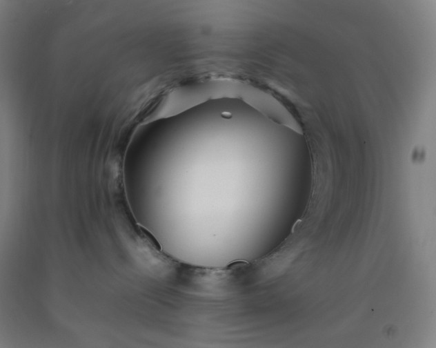 X0000092210288200709281029