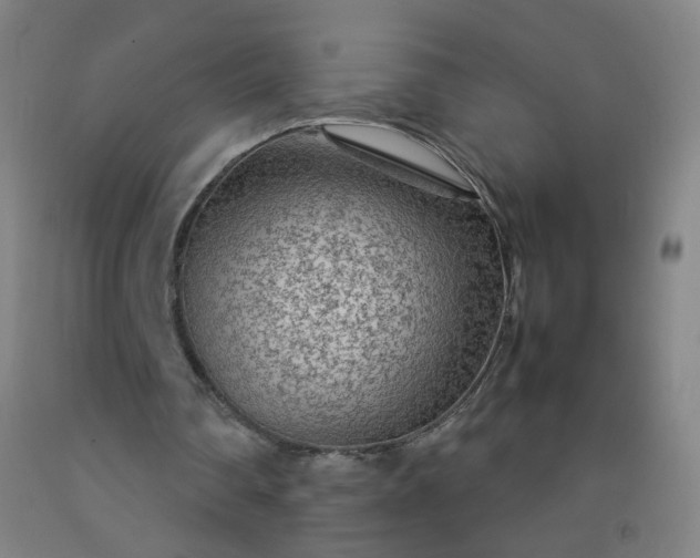 X0000092210290200709281029