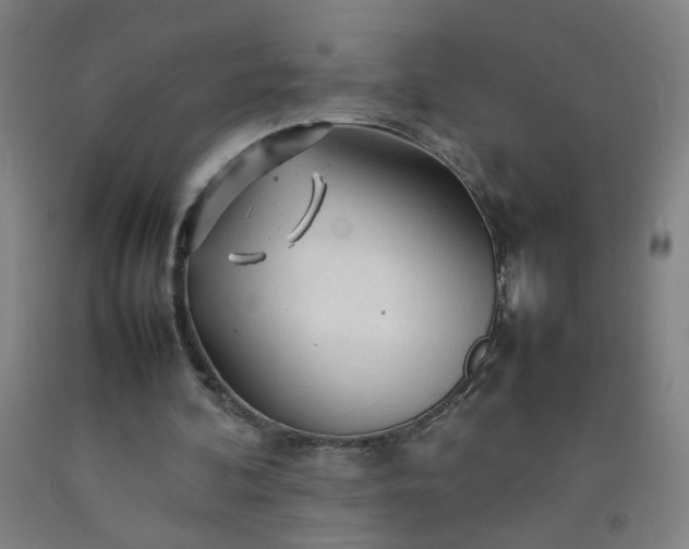 X0000092210292200709281029