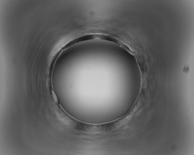 X0000092210293200709281029