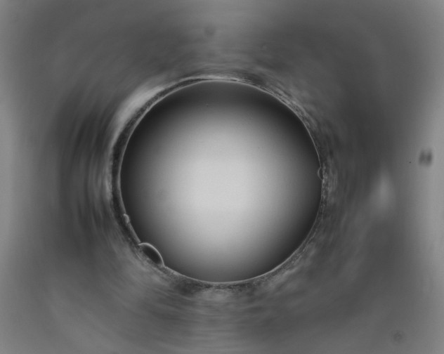 X0000092210294200709281029