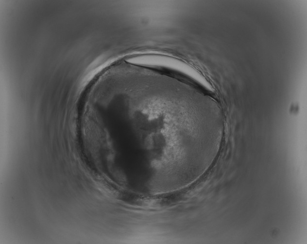 X0000092210295200709281029