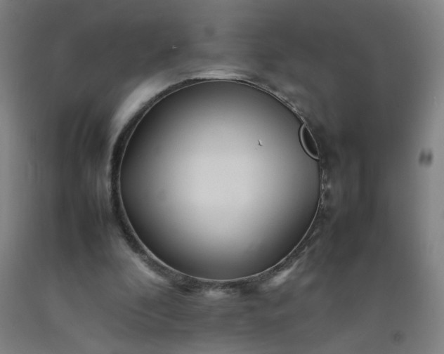 X0000092210296200709281029