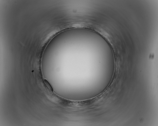 X0000092210297200709281029