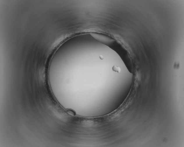 X0000092210298200709281029