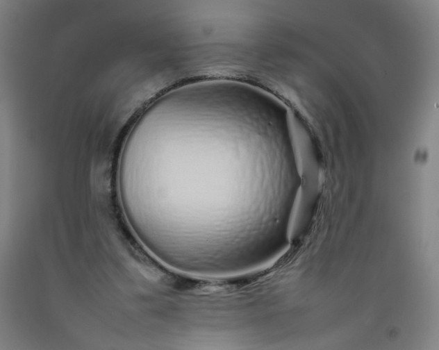 X0000092210299200709281029