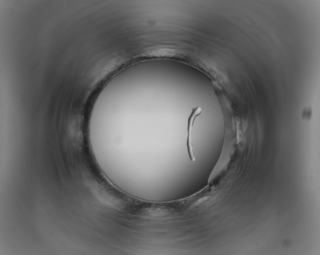 X0000092210300200709281029