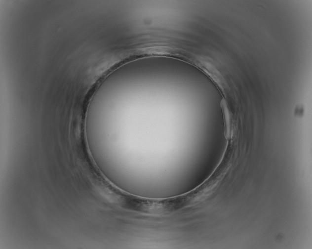 X0000092210301200709281029