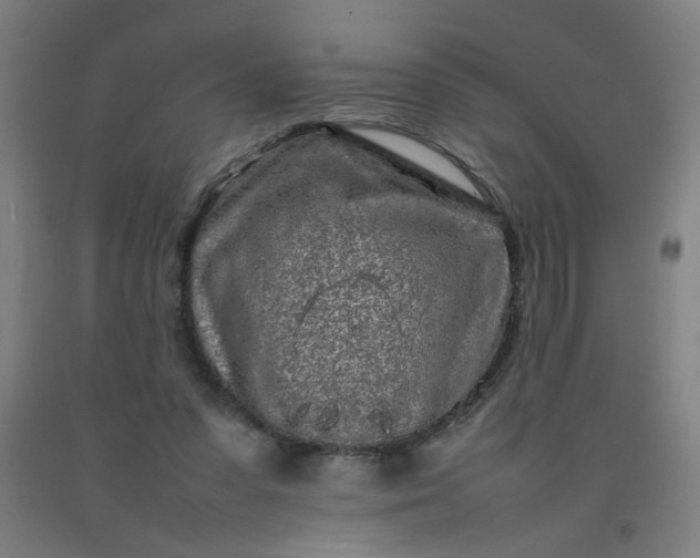 X0000092210303200709281029