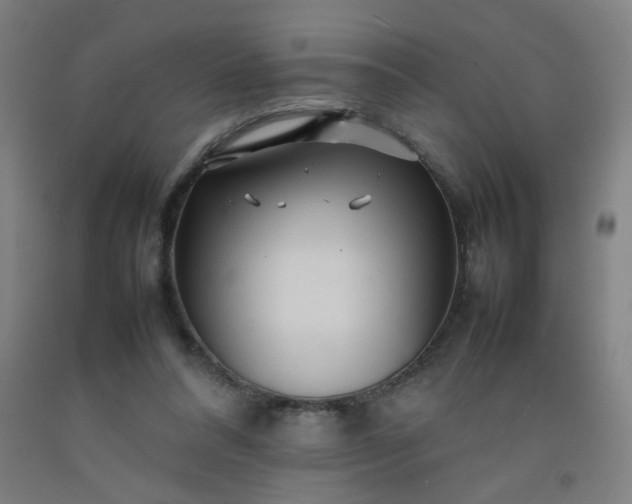 X0000092210304200709281029