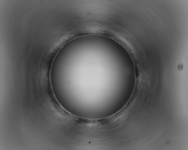 X0000092210306200709281028