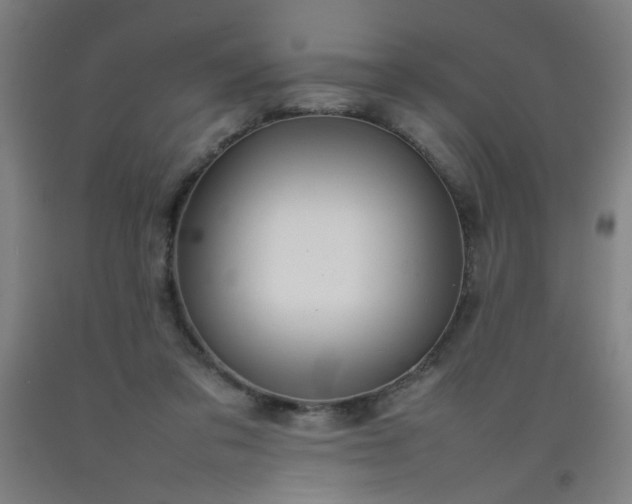 X0000092210309200709281028