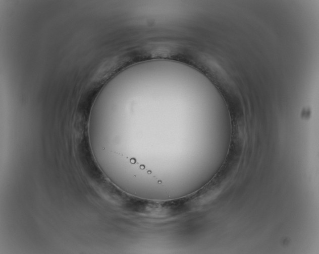 X0000092210311200709281028