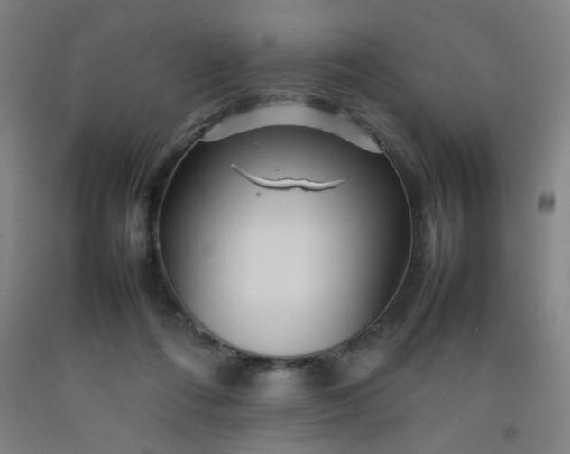 X0000092210312200709281028