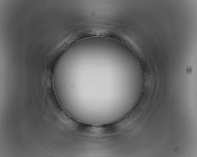 X0000092210313200709281028