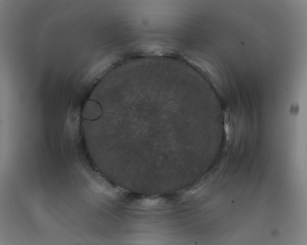 X0000092210314200709281028