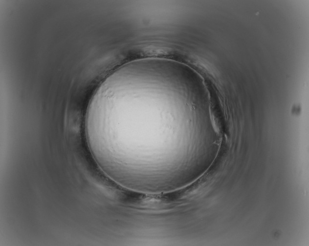 X0000092210315200709281028