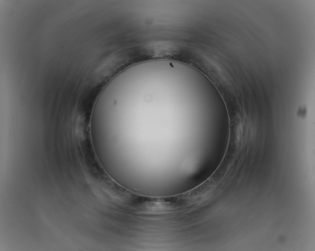 X0000092210316200709281028