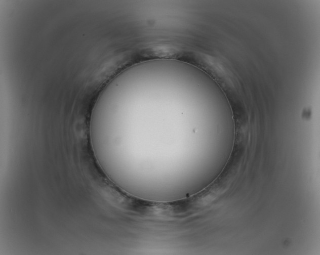 X0000092210317200709281028