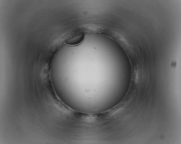 X0000092210318200709281028