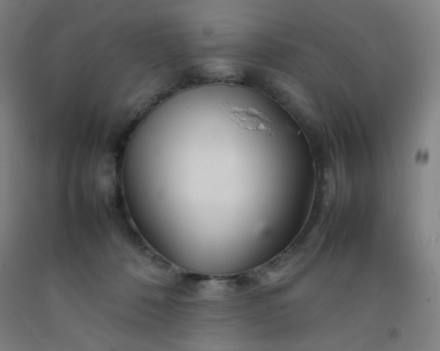 X0000092210320200709281028