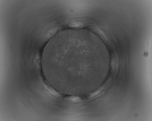 X0000092210322200709281028