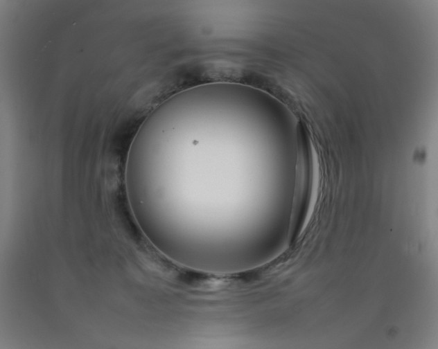 X0000092210323200709281028