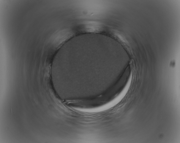 X0000092210325200709281028