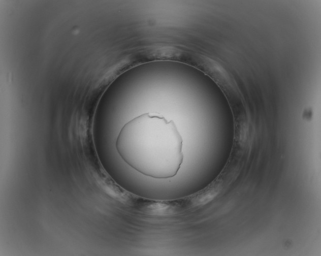 X0000092210326200709281028