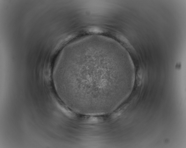 X0000092210330200709281028