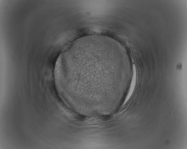 X0000092210331200709281028