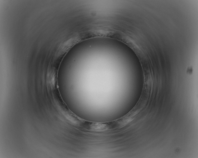 X0000092210334200709281028