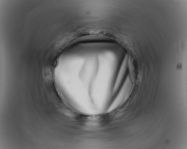 X0000092210335200709281028