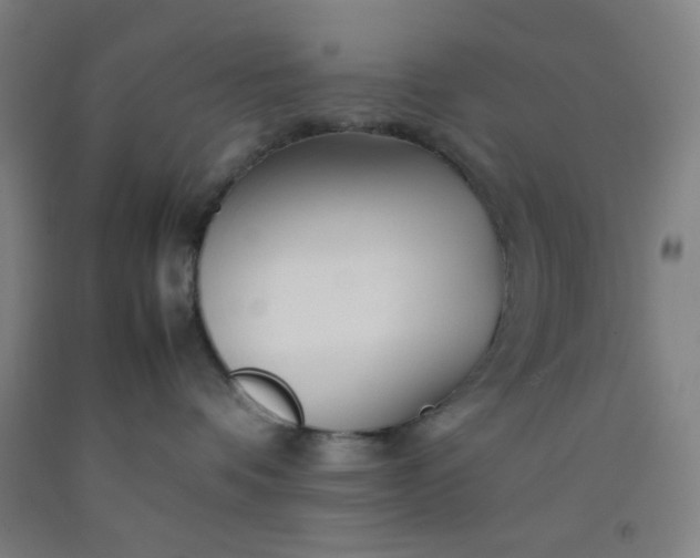 X0000092210336200709281028