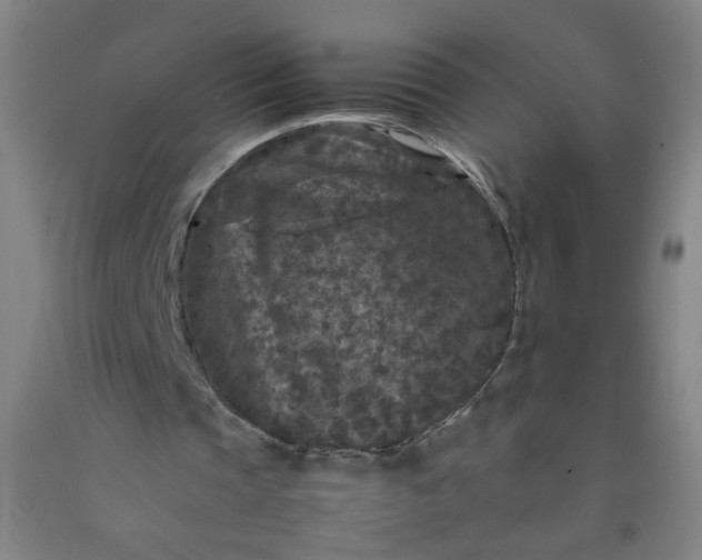 X0000092210337200709281028