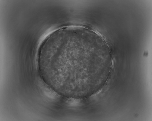 X0000092210343200709281028