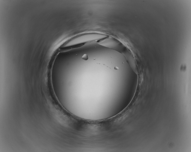 X0000092210344200709281028