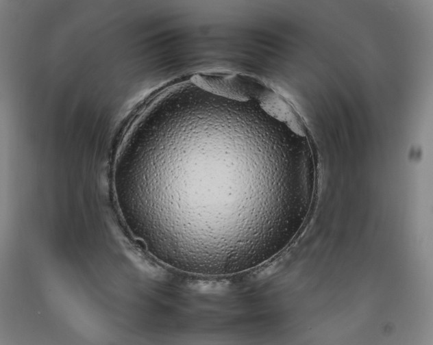 X0000092210345200709281028