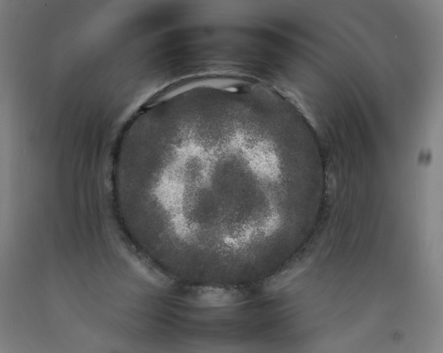 X0000092210347200709281028