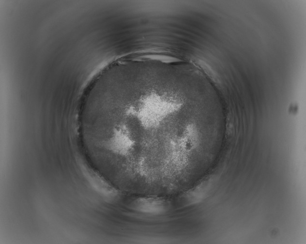 X0000092210351200709281028