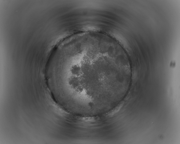 X0000092210353200709281028