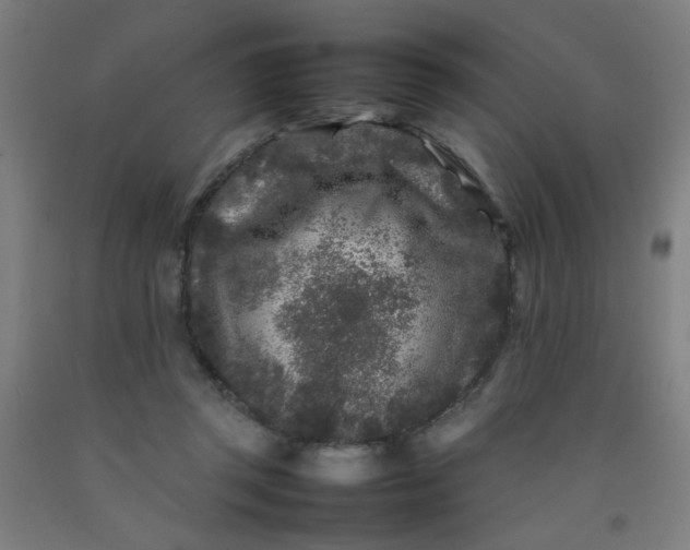 X0000092210357200709281028