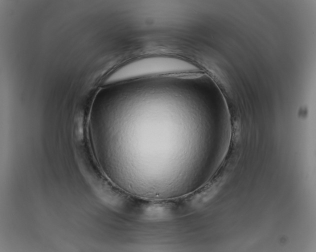 X0000092210358200709281028