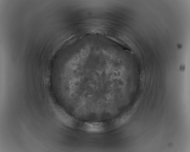 X0000092210359200709281028