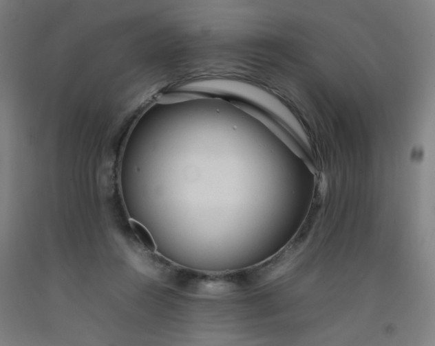 X0000092210360200709281028