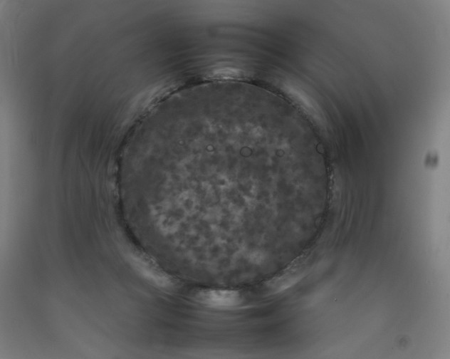 X0000092210361200709281028