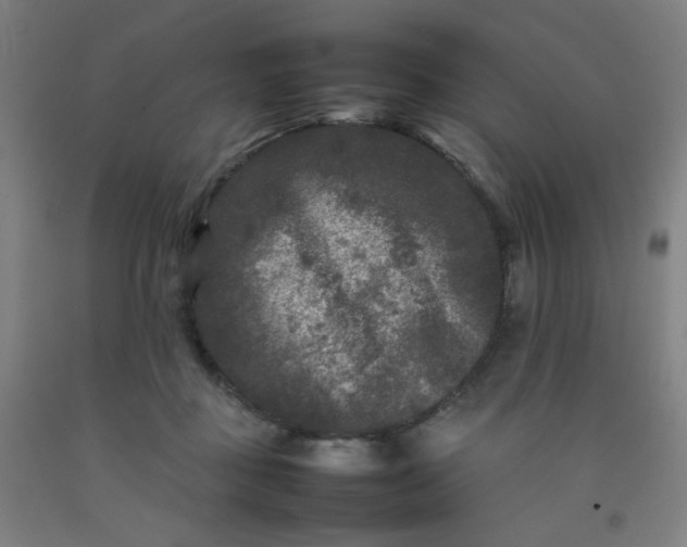 X0000092210363200709281028