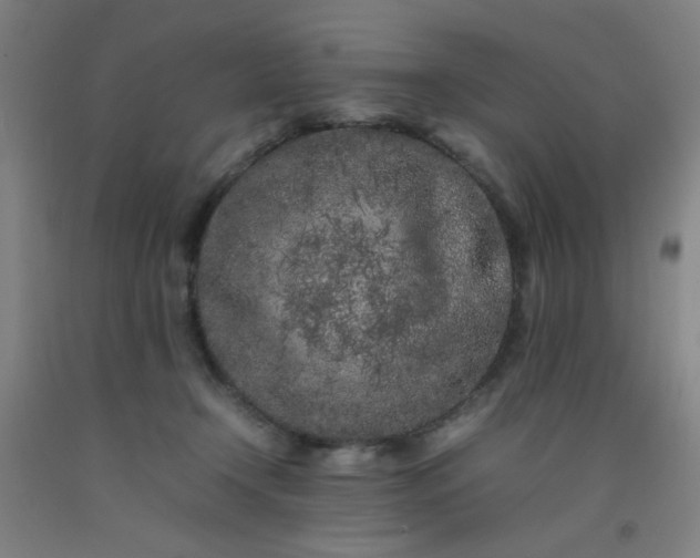 X0000092210366200709281028