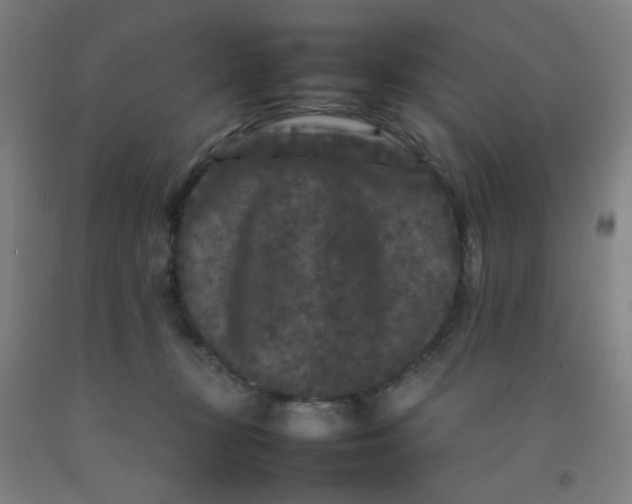 X0000092210367200709281028