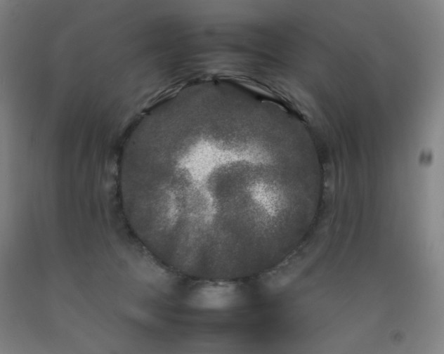 X0000092210369200709281028